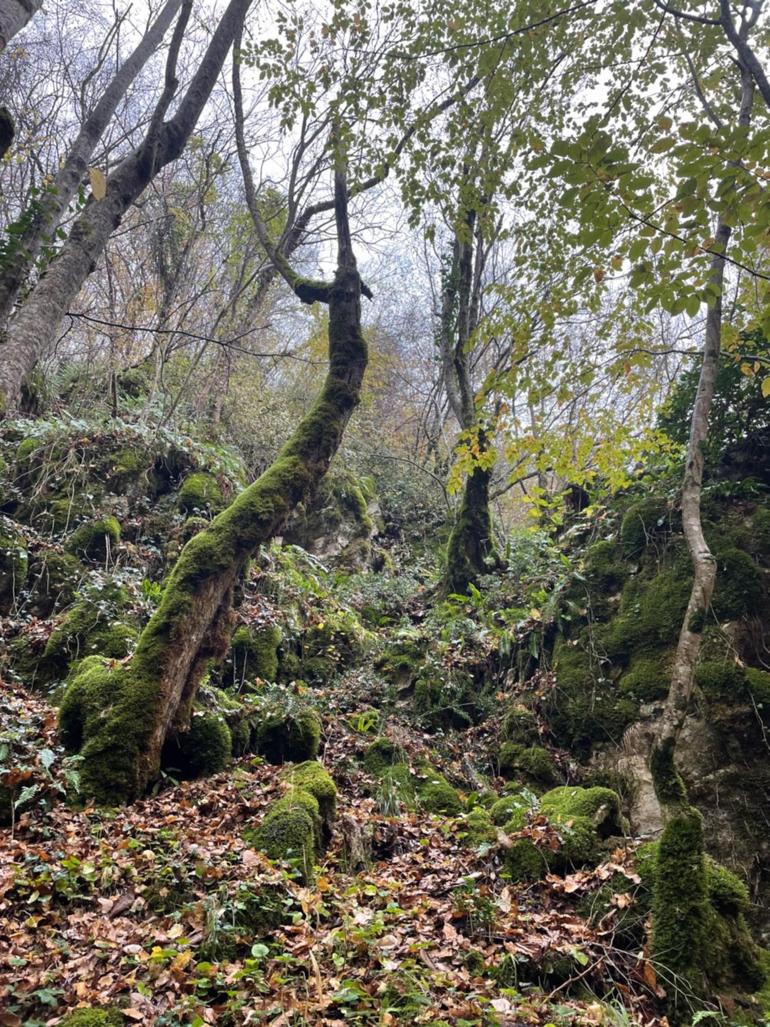 Mooie Bungalow In De Prachtige Natuur Hastiere-par-dela Exteriér fotografie